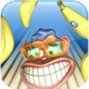  Monkey Bowl (2009). Нажмите, чтобы увеличить.