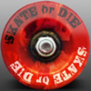  SKATE or DIE (2009). Нажмите, чтобы увеличить.