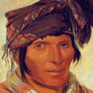  Seminole (2009). Нажмите, чтобы увеличить.