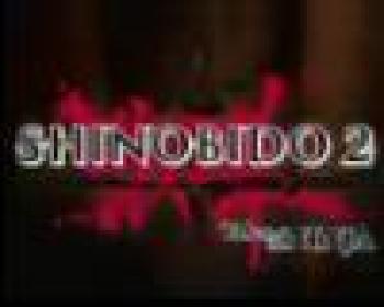  Shinobido 2: Tales of the Ninja (2011). Нажмите, чтобы увеличить.