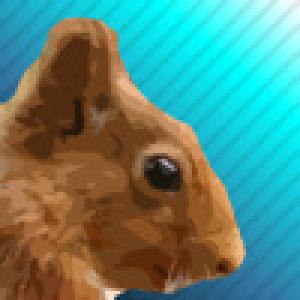  Sqrl Shooter (2010). Нажмите, чтобы увеличить.