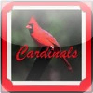 St. Louis Cardinals Baseball Trivia (2009). Нажмите, чтобы увеличить.