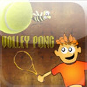  VolleyPong (2008). Нажмите, чтобы увеличить.