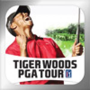  Tiger Woods PGA Tour (2009). Нажмите, чтобы увеличить.