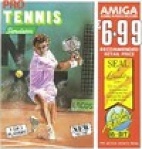  Pro Tennis Simulator (1990). Нажмите, чтобы увеличить.