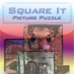  SquareEt (2010). Нажмите, чтобы увеличить.