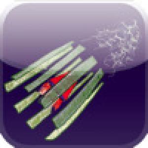  rRootage (2008). Нажмите, чтобы увеличить.