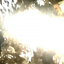 Here I Am - Single. Передняя обложка. Нажмите, чтобы увеличить. Here I Am - Single. Передняя обложка. Нажмите, чтобы увеличить.