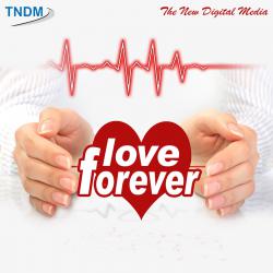 Love Forever. Передняя обложка. Нажмите, чтобы увеличить. Love Forever. Передняя обложка. Нажмите, чтобы увеличить.