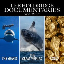 Lee Holdridge: Documentaries, Vol. 1. Передняя обложка. Нажмите, чтобы увеличить. Lee Holdridge: Documentaries, Vol. 1. Передняя обложка. Нажмите, чтобы увеличить.