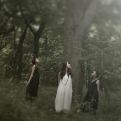 Kioku feat. Masahito Arai - Single. Передняя обложка. Нажмите, чтобы увеличить. Kioku feat. Masahito Arai - Single. Передняя обложка. Нажмите, чтобы увеличить.