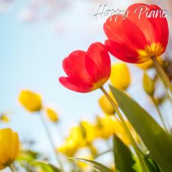 Happy Piano. Передняя обложка. Нажмите, чтобы увеличить. Happy Piano. Передняя обложка. Нажмите, чтобы увеличить.