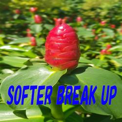 Softer Break Up - Single. Передняя обложка. Нажмите, чтобы увеличить. Softer Break Up - Single. Передняя обложка. Нажмите, чтобы увеличить.