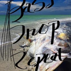 Bass Drop Repeat - Single. Передняя обложка. Нажмите, чтобы увеличить. Bass Drop Repeat - Single. Передняя обложка. Нажмите, чтобы увеличить.