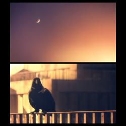 TENGOKU-DAIMAKYO THE ANIMATIONEnding Theme Daremo Karemo Dokomo Nanimo Shiranai #08 Special Arrange - Single. Передняя обложка. Нажмите, чтобы увеличить. TENGOKU-DAIMAKYO THE ANIMATIONEnding Theme Daremo Karemo Dokomo Nanimo Shiranai #08 Special Arrange - Single. Передняя обложка. Нажмите, чтобы увеличить.