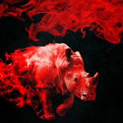 Hot Spotz. Передняя обложка. Нажмите, чтобы увеличить. Hot Spotz. Передняя обложка. Нажмите, чтобы увеличить.