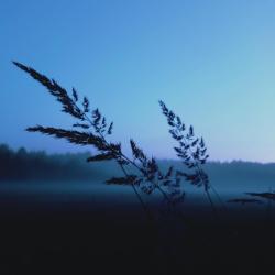 Fragile Space. Передняя обложка. Нажмите, чтобы увеличить. Fragile Space. Передняя обложка. Нажмите, чтобы увеличить.