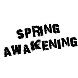 Spring Awakening Original Score. Передняя обложка. Нажмите, чтобы увеличить. Spring Awakening Original Score. Передняя обложка. Нажмите, чтобы увеличить.