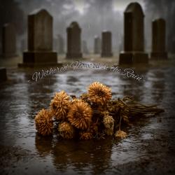 Withered Flowers in the Rain - Single. Передняя обложка. Нажмите, чтобы увеличить. Withered Flowers in the Rain - Single. Передняя обложка. Нажмите, чтобы увеличить.