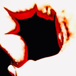 Soko. Передняя обложка. Нажмите, чтобы увеличить. Soko. Передняя обложка. Нажмите, чтобы увеличить.