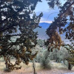 jeux soundtrack from the original dancepiece Radio Edit. Передняя обложка. Нажмите, чтобы увеличить. jeux soundtrack from the original dancepiece Radio Edit. Передняя обложка. Нажмите, чтобы увеличить.