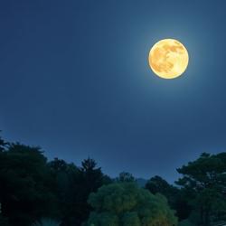 Egao No Wake - Single. Передняя обложка. Нажмите, чтобы увеличить. Egao No Wake - Single. Передняя обложка. Нажмите, чтобы увеличить.