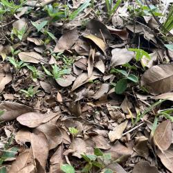 Moonlight Instrumental Type Beat - Single. Передняя обложка. Нажмите, чтобы увеличить. Moonlight Instrumental Type Beat - Single. Передняя обложка. Нажмите, чтобы увеличить.