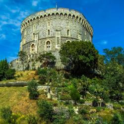 Royalty Original Song-cycle soundtrack - Single. Передняя обложка. Нажмите, чтобы увеличить. Royalty Original Song-cycle soundtrack - Single. Передняя обложка. Нажмите, чтобы увеличить.