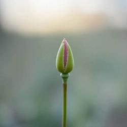 Keeping Distances - Single. Передняя обложка. Нажмите, чтобы увеличить. Keeping Distances - Single. Передняя обложка. Нажмите, чтобы увеличить.