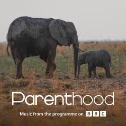 Go Steady From BBC's Parenthood - Single. Передняя обложка. Нажмите, чтобы увеличить. Go Steady From BBC's Parenthood - Single. Передняя обложка. Нажмите, чтобы увеличить.