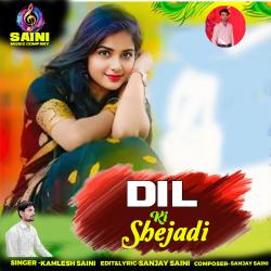 Dil Ki Shejadi - Single. Передняя обложка. Нажмите, чтобы увеличить. Dil Ki Shejadi - Single. Передняя обложка. Нажмите, чтобы увеличить.