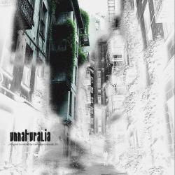 Unnaturalia Original Video Game Sountrack - Single. Передняя обложка. Нажмите, чтобы увеличить. Unnaturalia Original Video Game Sountrack - Single. Передняя обложка. Нажмите, чтобы увеличить.