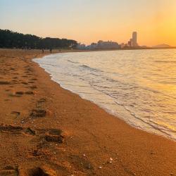 Your Flower Language feat. Hanakuma Chifuyu - Single. Передняя обложка. Нажмите, чтобы увеличить. Your Flower Language feat. Hanakuma Chifuyu - Single. Передняя обложка. Нажмите, чтобы увеличить.