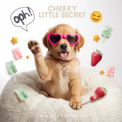 Cheeky Little Secret - Single. Передняя обложка. Нажмите, чтобы увеличить. Cheeky Little Secret - Single. Передняя обложка. Нажмите, чтобы увеличить.