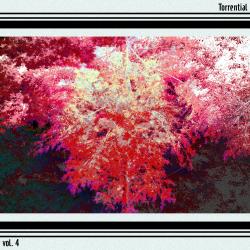 ProvEdition: Torrential Original Game Soundtrack Volume. 4. Передняя обложка. Нажмите, чтобы увеличить. ProvEdition: Torrential Original Game Soundtrack Volume. 4. Передняя обложка. Нажмите, чтобы увеличить.