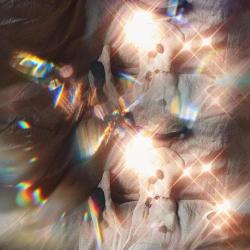 Shivari the Snow LeopardFON Original Soundtrack - Single. Передняя обложка. Нажмите, чтобы увеличить. Shivari the Snow LeopardFON Original Soundtrack - Single. Передняя обложка. Нажмите, чтобы увеличить.