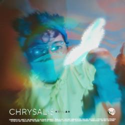 Chrysalis. Передняя обложка. Нажмите, чтобы увеличить.