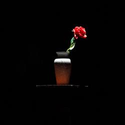 Triphrasé Bande originale de la pièce de théâtre 