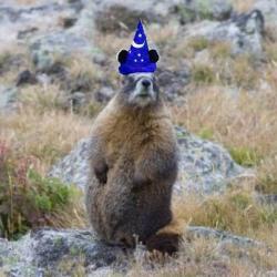 Différents vécus bande originale du spectacle 