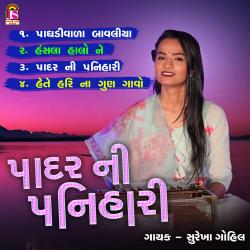 Padarni Panihari. Передняя обложка. Нажмите, чтобы увеличить.