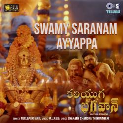 Swamy Saranam Ayyappa From Swamy Saranam Ayyappa From