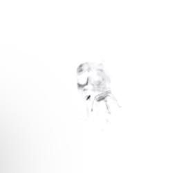 MUD SOUNDTR_CK - EP. Передняя обложка. Нажмите, чтобы увеличить.