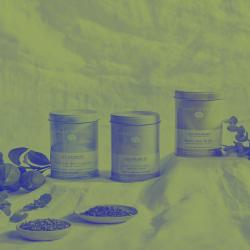 Palais des Thés, Sur un nuage - Single - EP. Передняя обложка. Нажмите, чтобы увеличить.