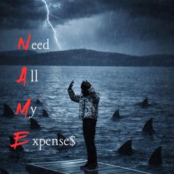 N.A.M.E - EP. Передняя обложка. Нажмите, чтобы увеличить.