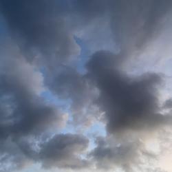 notmadjustdisappointed - Single. Передняя обложка. Нажмите, чтобы увеличить.