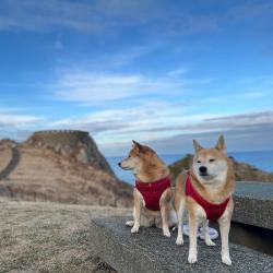 Unonon Beat Special Ver. - Single. Передняя обложка. Нажмите, чтобы увеличить.