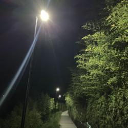 aroha mai, aroha atu... *og ver* - Single. Передняя обложка. Нажмите, чтобы увеличить.