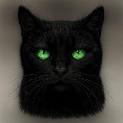 was to you - Single. Передняя обложка. Нажмите, чтобы увеличить.