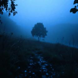 You Were Always My First Pick - Single. Передняя обложка. Нажмите, чтобы увеличить.