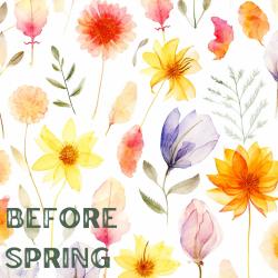 Before Spring - Single. Передняя обложка. Нажмите, чтобы увеличить.